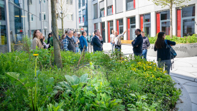 Den Teilnehmer:innen des Grünstadtsymposiums präsentierte Conrad Amber Vorarlbergs größte Grünfassade im AK Quartier zurecht  mit Stolz: Die grüne Wand klimatisiert das dahinter liegende Gebäude. Auf drei begehbaren Ebenen stehen über 50 Pflanzentröge. 50 Pflanzenarten (vorwiegend Ranker und Winder) sowie Blühsträucher werden mit dem Grauwasser vom Dach bewässert. Die insgesamt 250 Pflanzen ranken sich am Rautengitter empor.