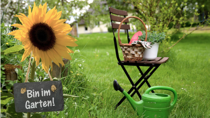 Stuhl, Gießkanne und Sonnenblume im Garten