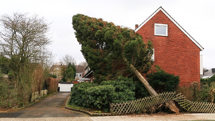 Ein Baum ist auf ein Haus gestürzt und hat einen Zaun zerstört.