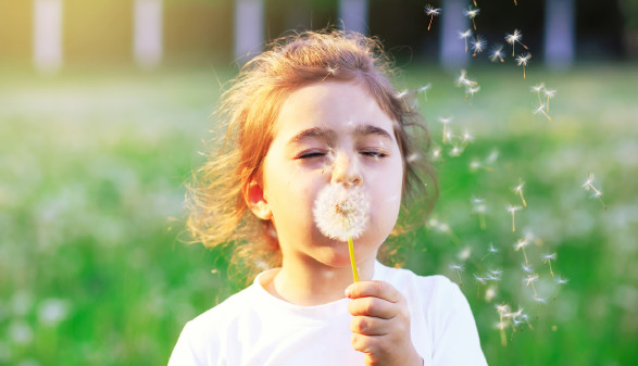 Ein Jahr länger im Kindergarten ist für manche Kinder gut © katya_naumova , stock.adobe.com Kind mit Pusteblume © katya_naumova , stock.adobe.com
