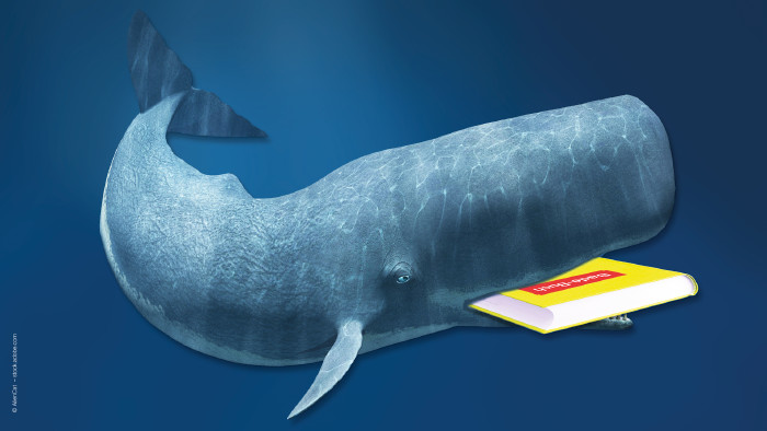 Ihre AK-Bibliothek im Schwimmbad © AlienCat, stock.adobe.com Walfisch mit Buch im Maul © AlienCat, stock.adobe.com