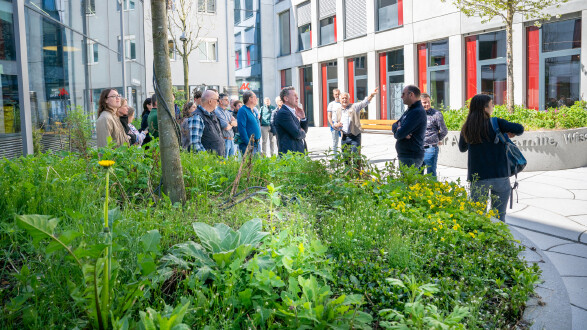Den Teilnehmer:innen des Grünstadtsymposiums präsentierte Conrad Amber Vorarlbergs größte Grünfassade im AK Quartier zurecht  mit Stolz: Die grüne Wand klimatisiert das dahinter liegende Gebäude. Auf drei begehbaren Ebenen stehen über 50 Pflanzentröge. 50 Pflanzenarten (vorwiegend Ranker und Winder) sowie Blühsträucher werden mit dem Grauwasser vom Dach bewässert. Die insgesamt 250 Pflanzen ranken sich am Rautengitter empor.