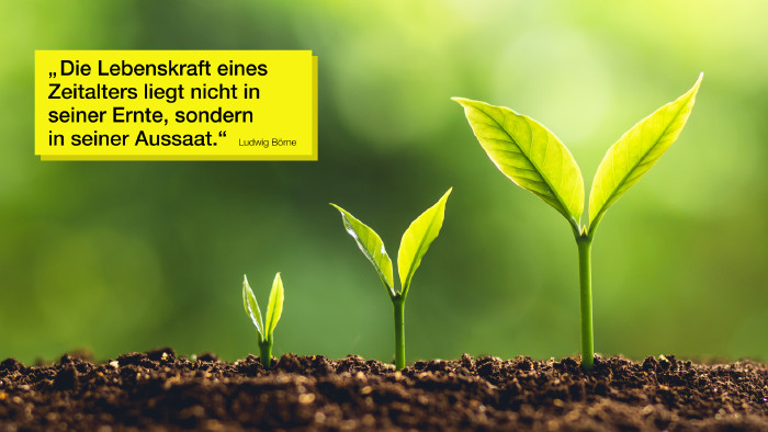 Es wird Frühling im Garten © artrachen, stock.adobe.com kleine Pflanzen schauen aus der Erde © artrachen, stock.adobe.com