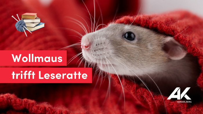 © kobeza, Adobe Stock Eine Ratte, die sich in einem roten Pullover versteckt © kobeza, Adobe Stock