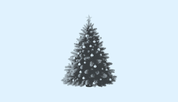 Weihnachtsbaum