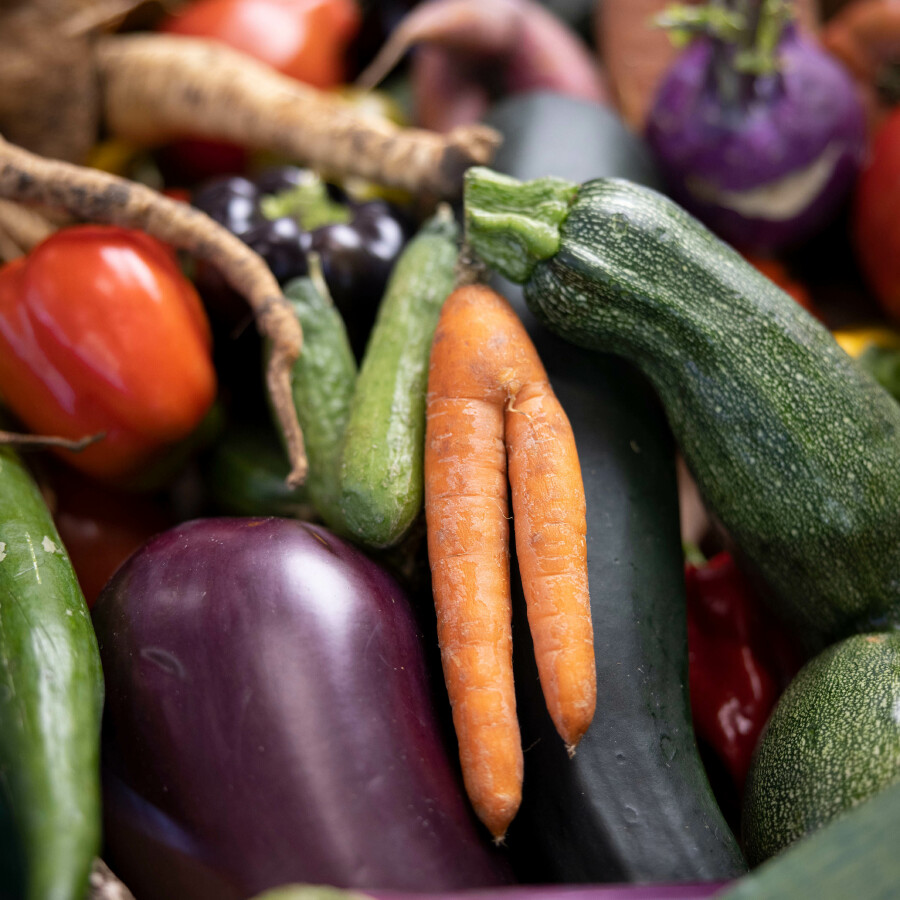 Diesenreiter:  Man muss auch nicht sofort Veganer:in werden. Wenn alle Menschen einen fleischlosen Tag pro Woche einlegen, hat das einen größeren Impact als alle Veganer:innen aktuell zusammen.