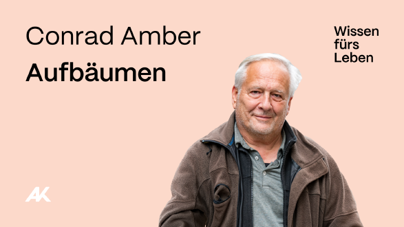 Conrad Amber