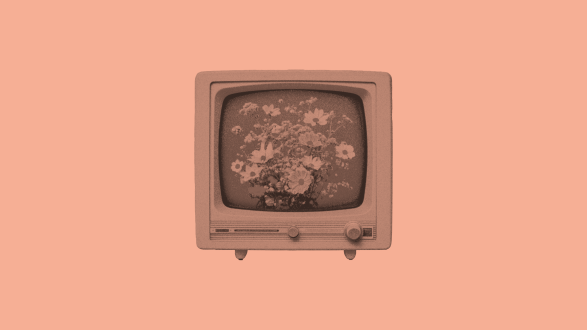 TV im Frühling