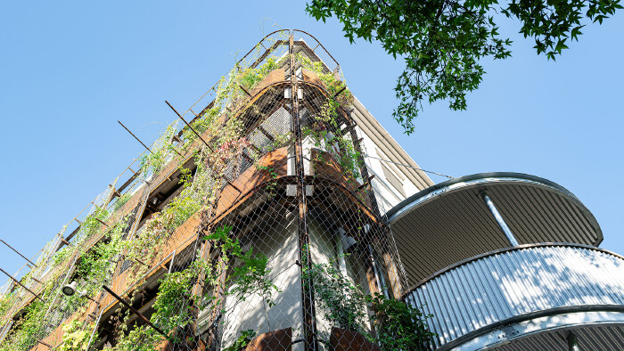 Das Foto zeigt die &bdquo;Gr&uuml;ne Wand&ldquo; der AK: Auf einem Rautengitter, das vor die Fassade des Geb&auml;udes gespannt ist, ranken sich viele gr&uuml;ne Pflanzen nach oben.