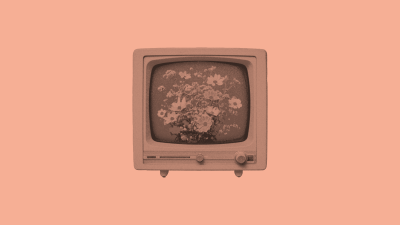TV im Frühling