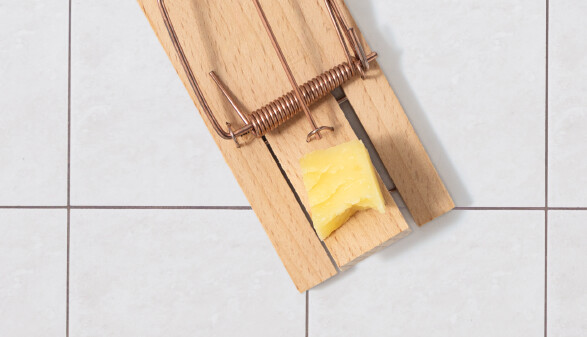 Ein klassischer Holz-Mausefalle mit gespanntem Metallb&uuml;gel, auf einem Fliesenboden platziert und mit einem St&uuml;ck K&auml;se als K&ouml;der best&uuml;ckt.