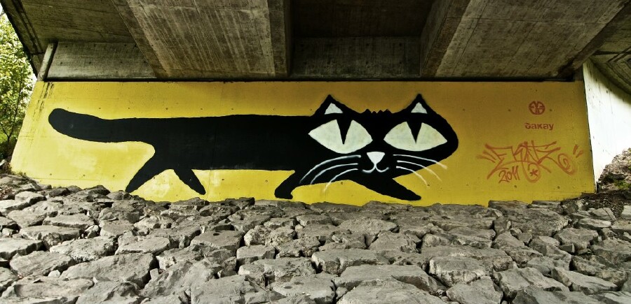 Ein Grafitti, das sich über einen ganzen Brückenpfeiler erstreckt, zeigt eine schwarze Katze mit großen, hellgelben Augen auf einem leuchtend gelbem Hintergrund.